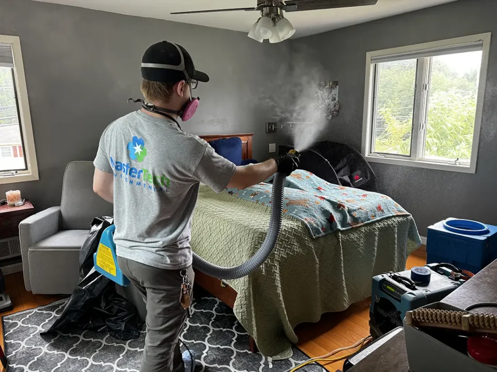 Mold remediation Rancho Santa Margarita