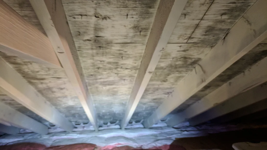 Mold inspection Laguna Niguel