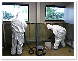 Mold removal San Clemente