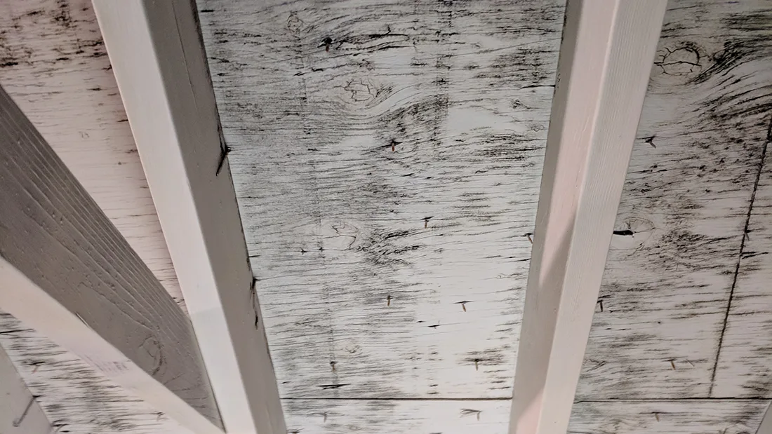 Mold testing Laguna Niguel