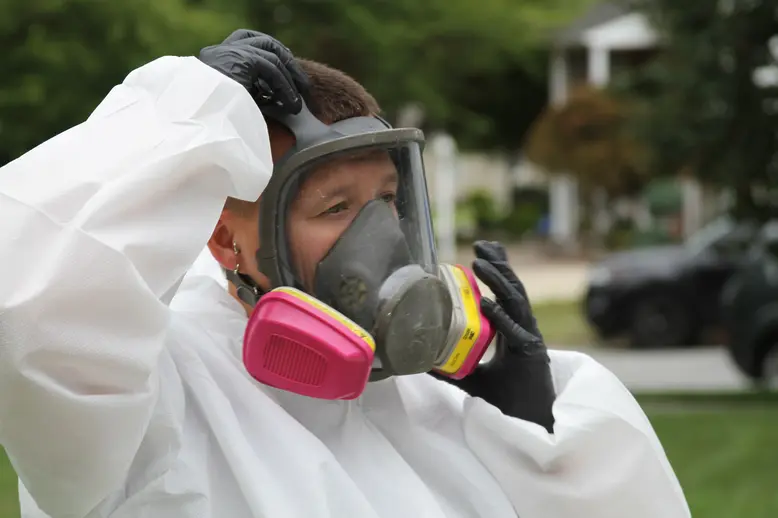 mold removal team trabuco canyon ca