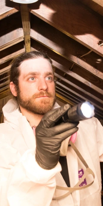 laguna hills mold inspection services