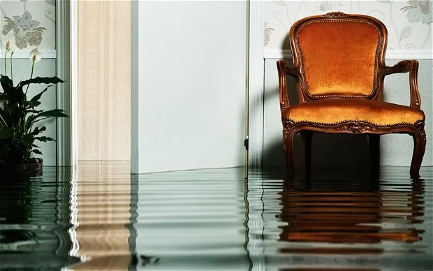 mold treatment after water damage