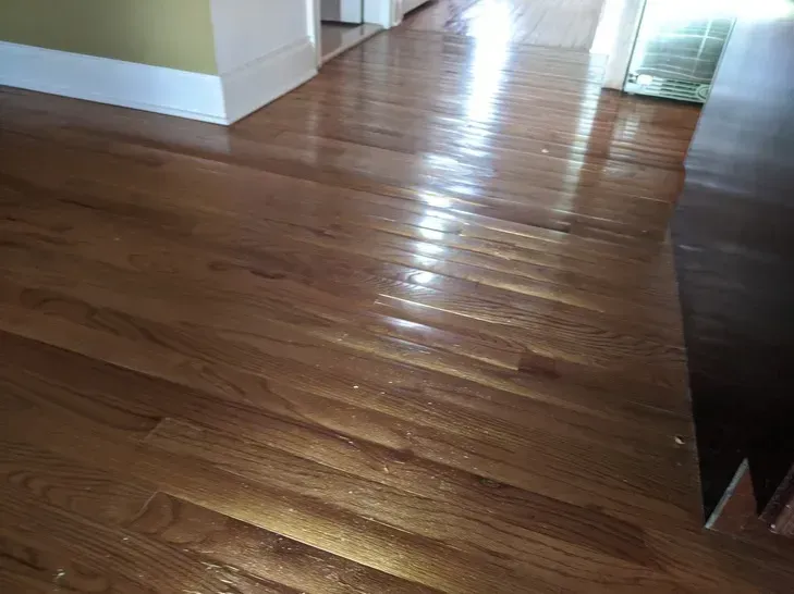 san clemente home drying water damage