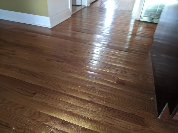 technician assessing water damage