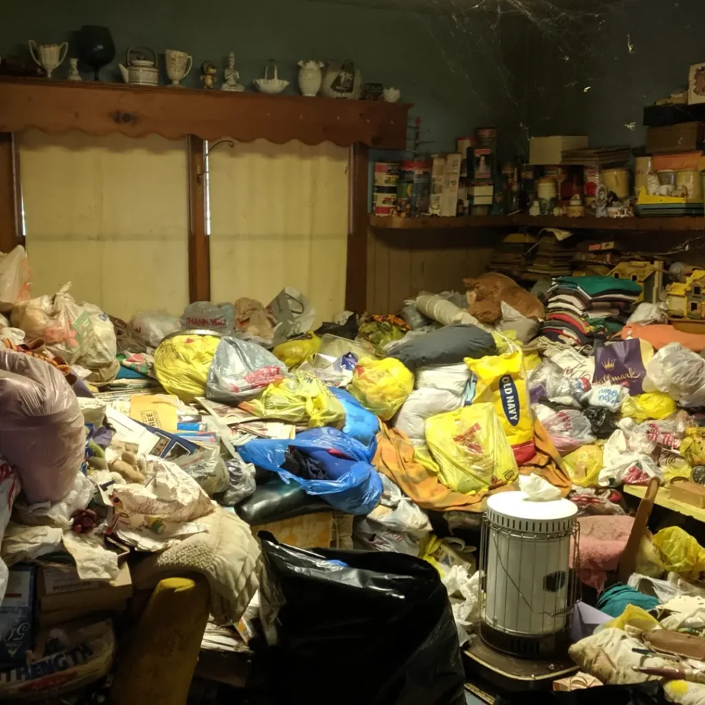 hoarding cleaning company laguna beach
