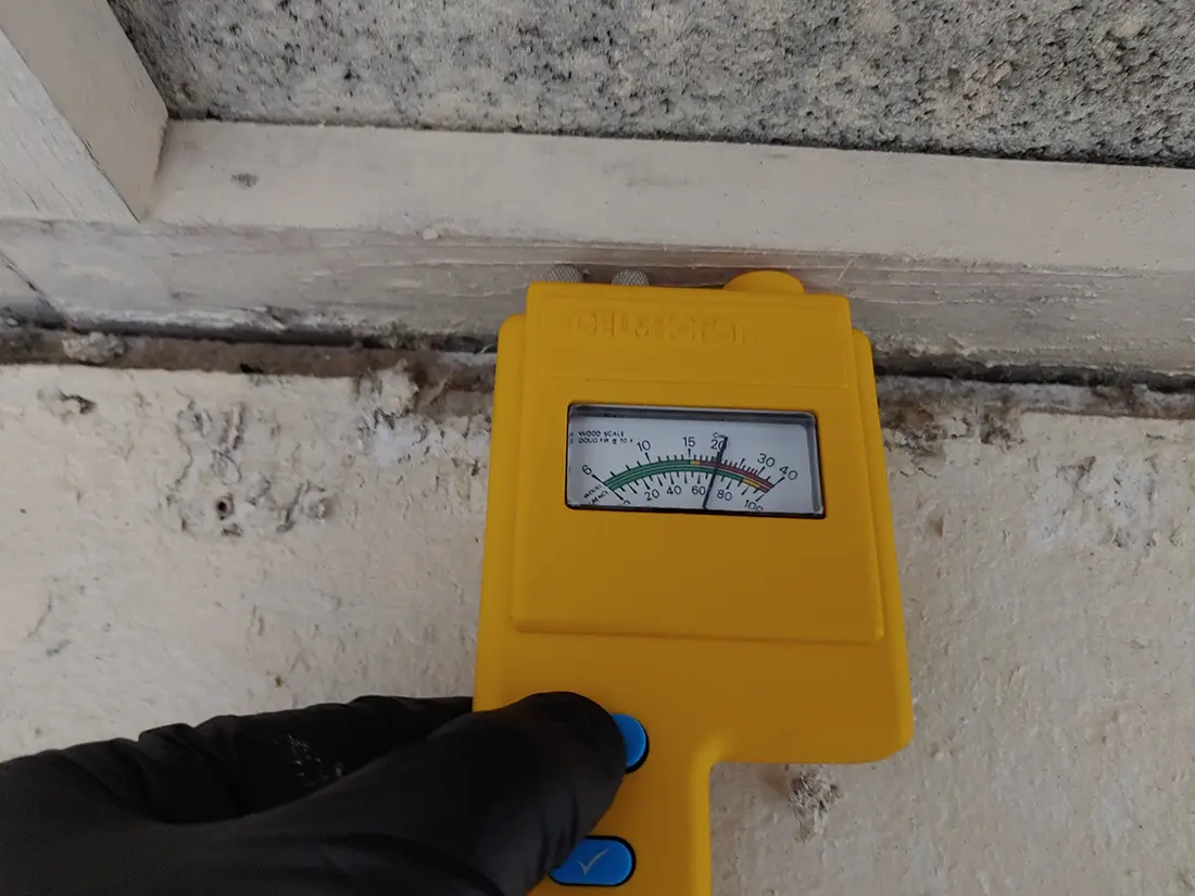 Mold inspection Mission Viejo