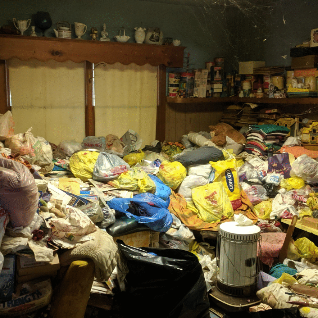 professional hoarding cleanup aliso viejo