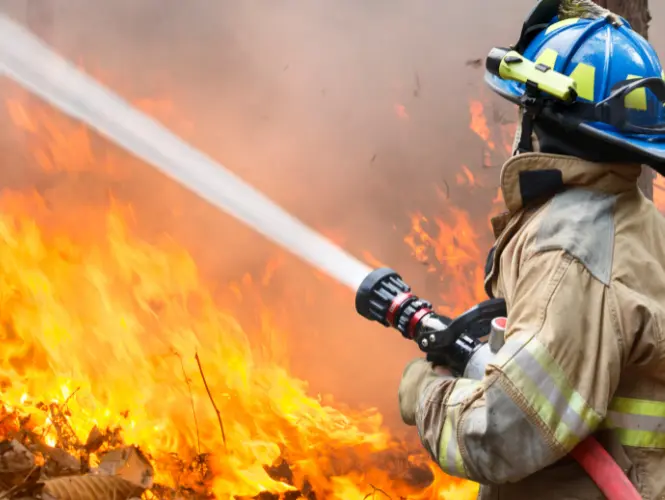 thermal fogging smoke odor laguna beach