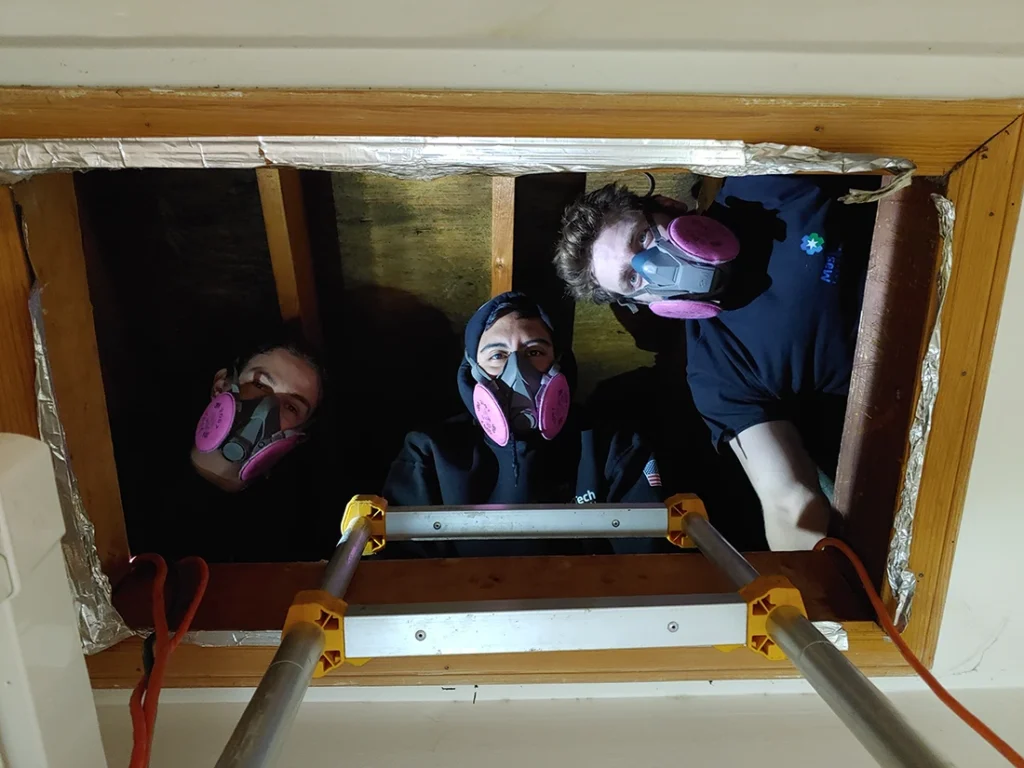 Mold inspection Newport Beach