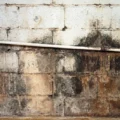 Mold testing Newport Beach