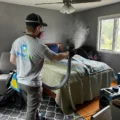Mold removal Orange County