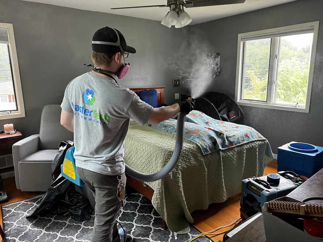 Mold removal Orange County